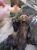 �G�T���˂���N�}�Q