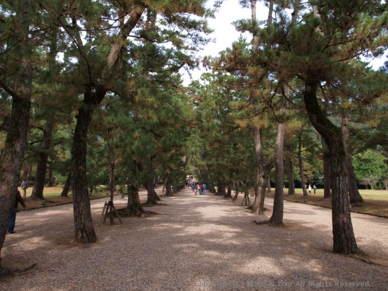 松の馬場