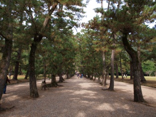 松の馬場