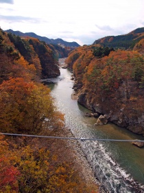 吊り橋からの風景